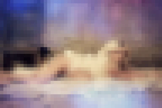 Pixel Pixel