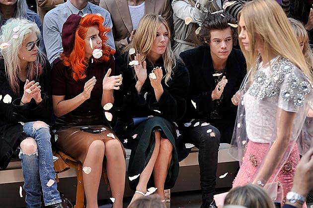 Harry Styles Cara Harry Styles Cara
