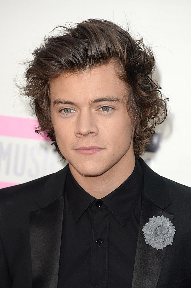 harry-styles harry styles