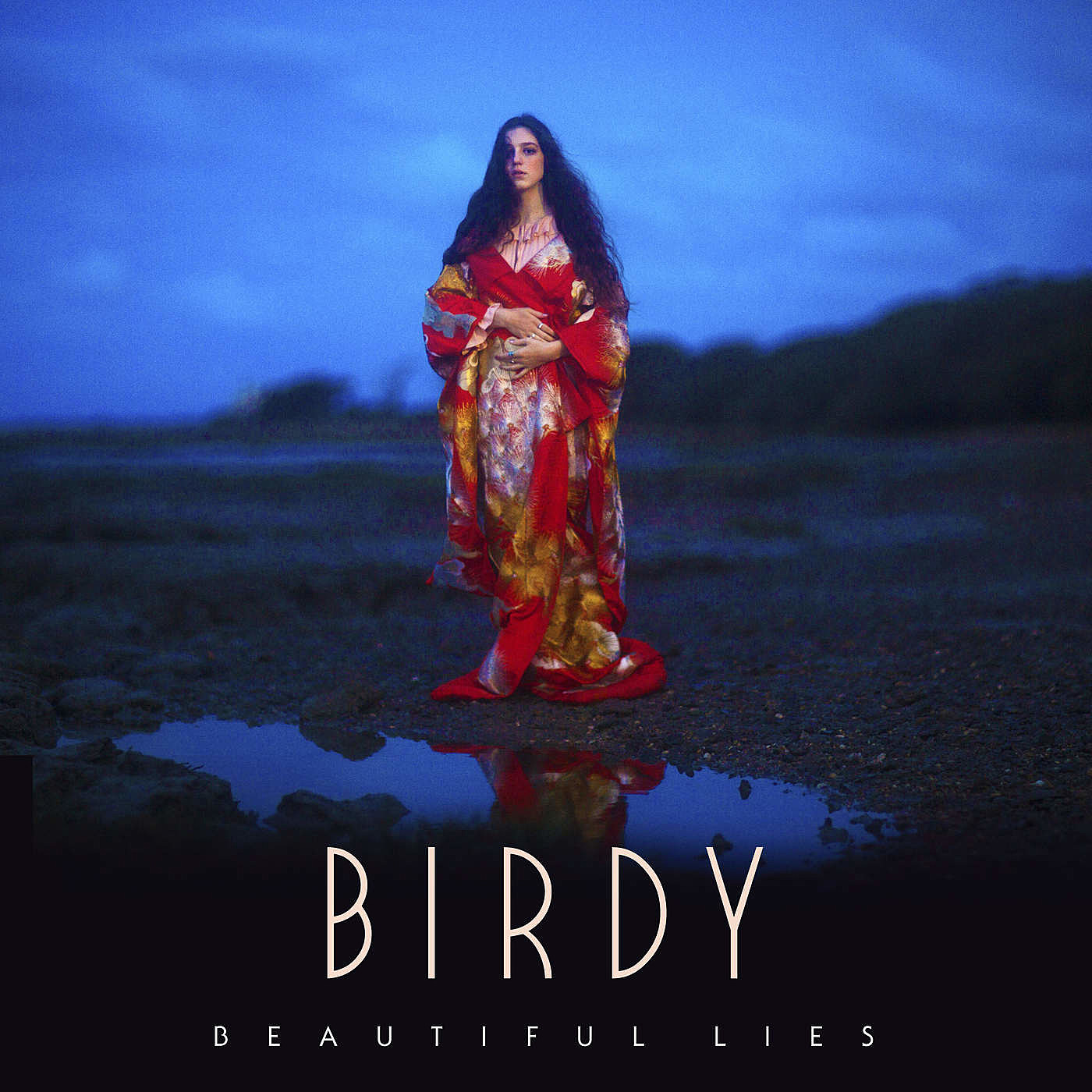 beautiful lies birdy