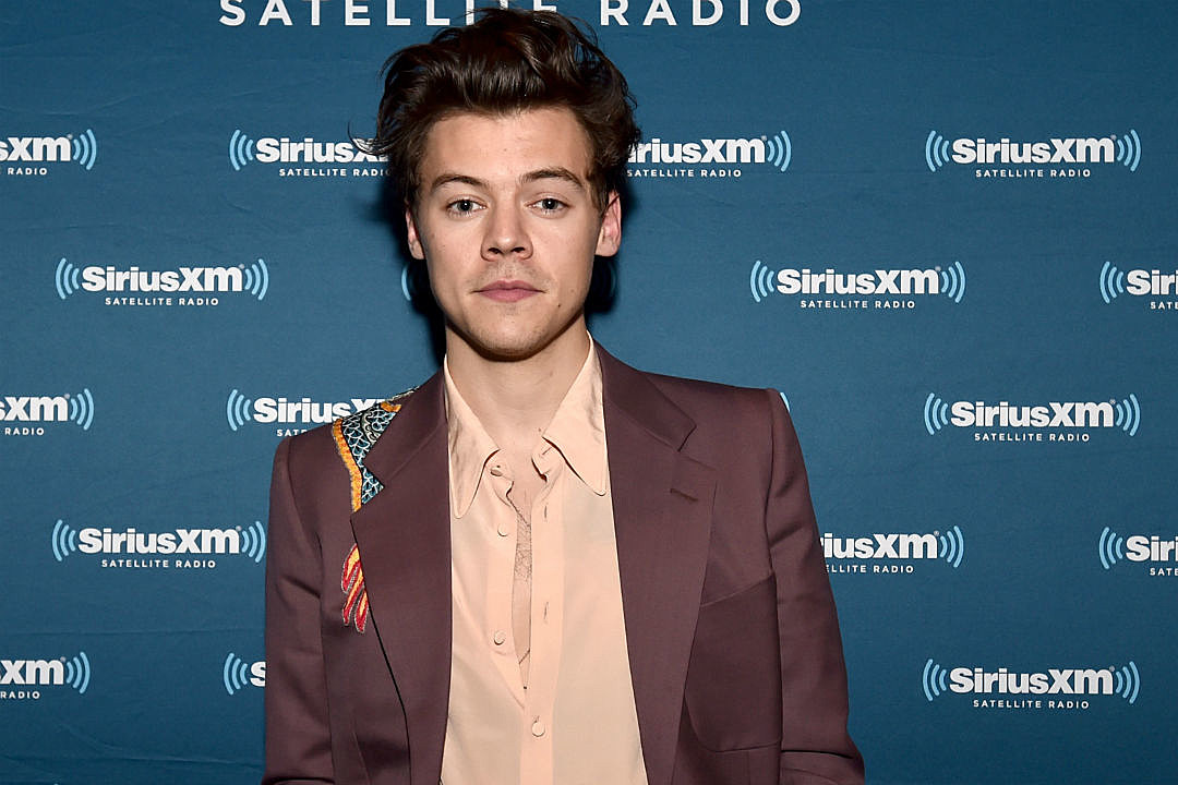 Harry Styles Manchester Fan
