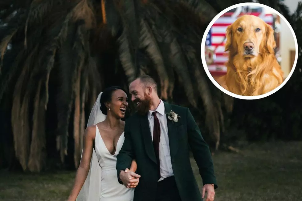 Bride Bans Groom’s Dog From Attending Wedding: ‘Hard No’