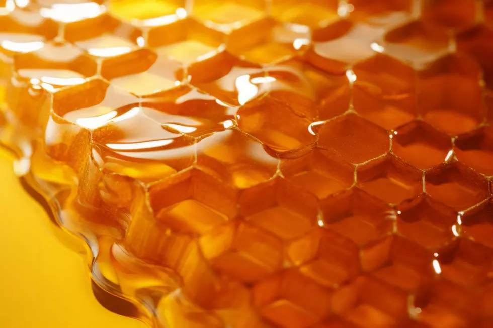 This Honey Sold Around America Can Cause You to Hallucinate