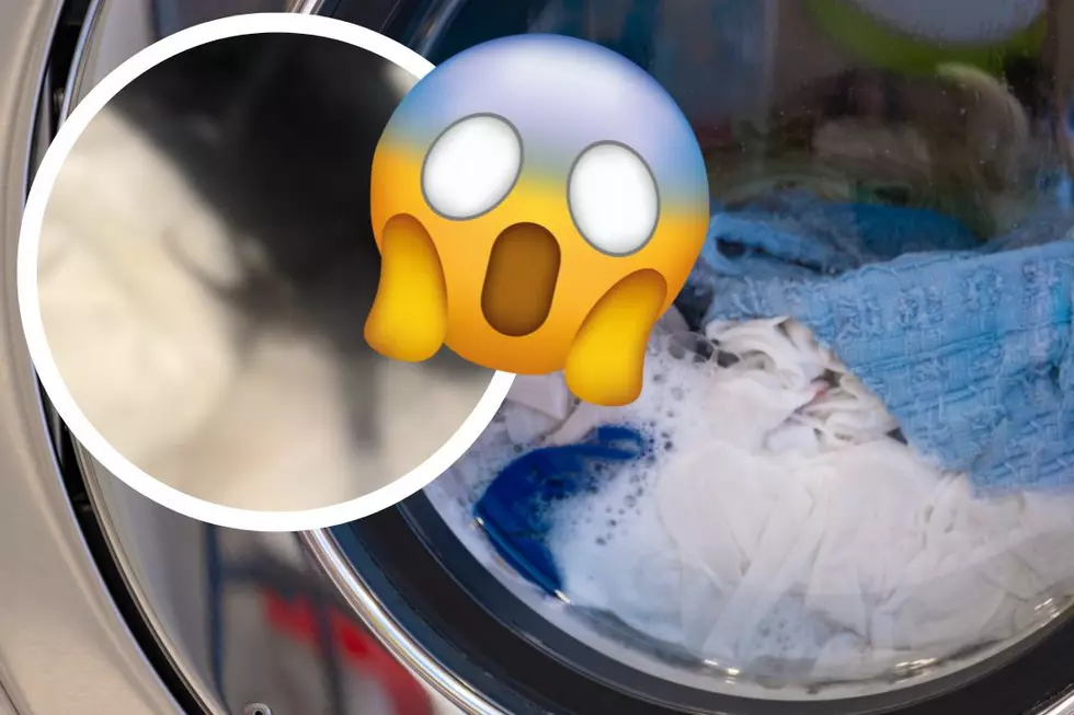 Woman’s Viral Washing Machine Video Is Our Absolute Worst Nightmare
